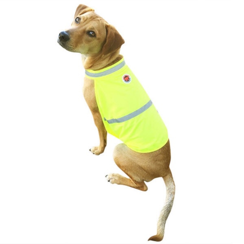 Big dog  reflective vest.  Great for long walks!